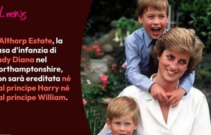 Lady Diana, das Elternhaus geht nicht an die Prinzen William und Harry: Hier erfahren Sie, wer es erben wird