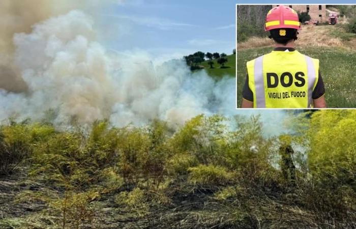 Vegetation in den Marken brennt, 3 Einsätze an einem Tag: Feuerwehrhubschrauber erforderlich – Picchio News
