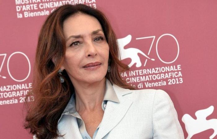 Maria Rosaria Omaggio ist gestorben, die Schauspielerin wurde 67 Jahre alt: die Ankündigung auf Instagram