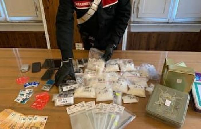 Ecstasy, sechs Tonnen chemische Inhaltsstoffe in Mailand Malpensa beschlagnahmt