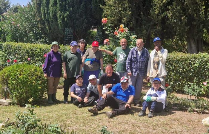 Pflanzen, die Menschen mit Behinderungen helfen, Cagliari kämpft für die Anerkennung der Gartenbautherapie