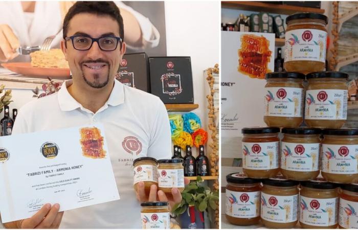 Familie Jesi/Fabrizi, Gold für Armonia-Honig bei den London Honey Awards