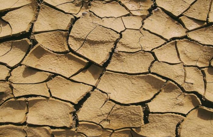 Sizilien ist durch die Wasserkrise ausgetrocknet, Anci Sizilien bei einem Treffen mit Präsident Galvagno: „Immer unhaltbarer“