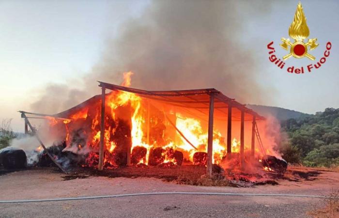 Wohnung brennt in Civitavecchia, Feuerwehrleute sind auch in Tolfa wegen eines Brandes in einem Lagerhaus im Einsatz