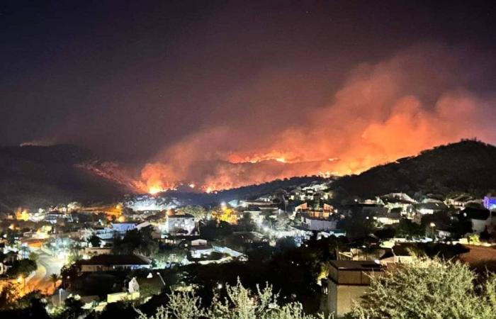 Namibia, Waldbrände in Windhoek: Feuerwehrleute im Einsatz, um die Flammen zu löschen