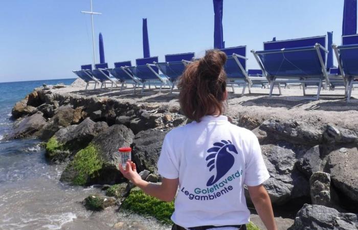 „In Ligurien war das Meer bei 50 % der Proben verschmutzt“, Alarm von Goletta Verde