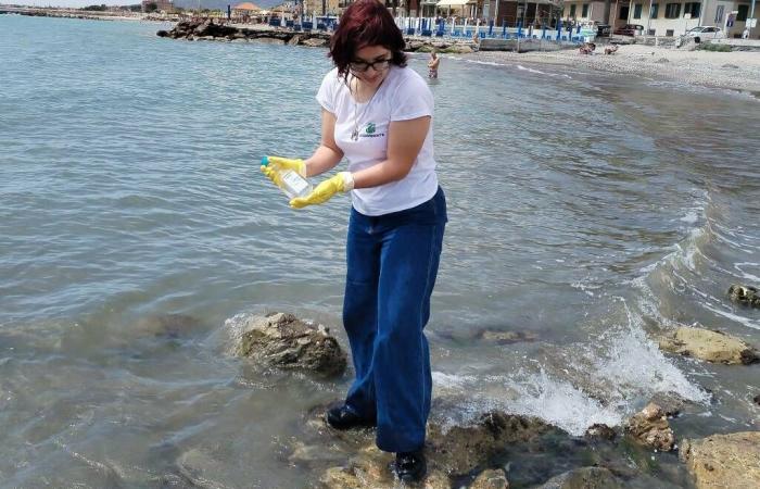 Proben von Goletta Verde an der Küste von La Spezia: „Monterosso-Probe ist besorgniserregend, stark verschmutzt“