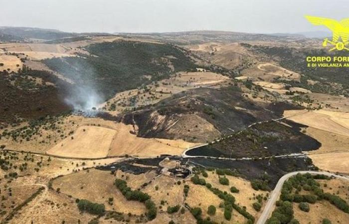 Heute 15 Brände auf Sardinien. Luftfahrzeuge in Orroli | Nachricht