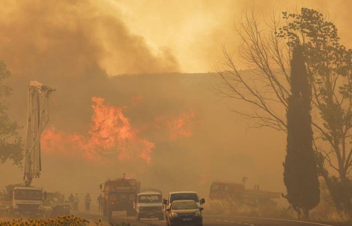 Türkiye, Provinz Muğla von Bränden heimgesucht