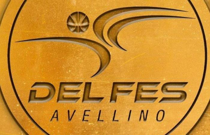 Del Fes Avellino, Freda: „Ein mehr als positives Jahr für den Jugendbereich“