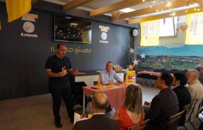 Die Yellow Food Night feiert ihr Debüt in Görz, Teller und Gläser entlang der Via IX Agosto • Il Goriziano