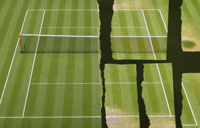 Ist der Rasen in Wimbledon noch grüner?