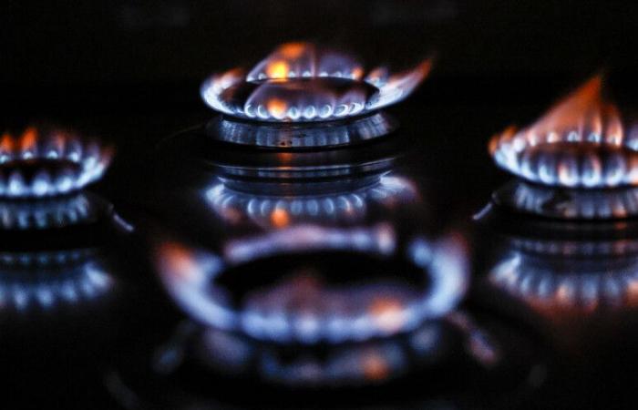 Gaspreiserhöhung für gefährdete Kunden: Update-Analyse vom Juni 2024