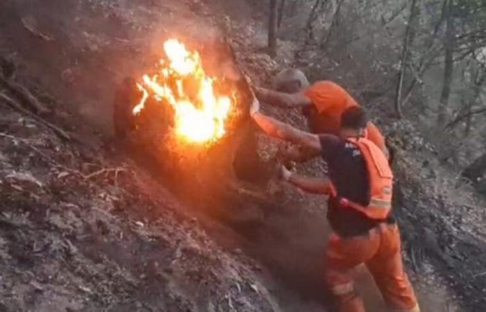 ISPRA-Daten zu Waldbränden: Die Provinz Catanzaro ist am wenigsten von den Bränden betroffen