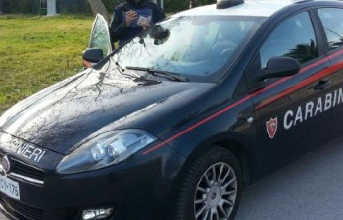 Pesaro: Diebstahl im Reitstall, Sättel online zum Verkauf, die Falle wird ausgelöst: Eine 40-jährige Frau meldete sich