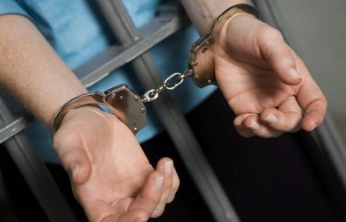 Zeuge Jehovas nach Durchsuchung in Petrosawodsk verhaftet – Nachrichten