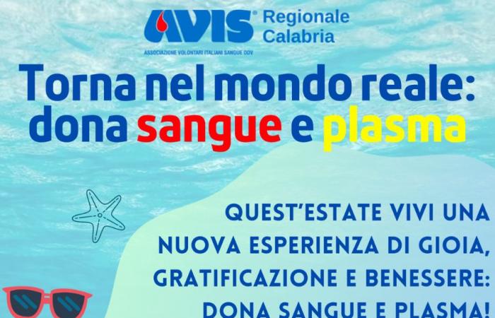 Im Sommer 2024 beginnt die Kampagne von Avis Regionale Calabria