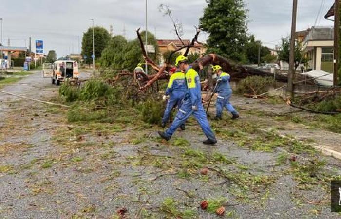 Schlechtes Wetter: Schäden auch in Friaul-Julisch Venetien