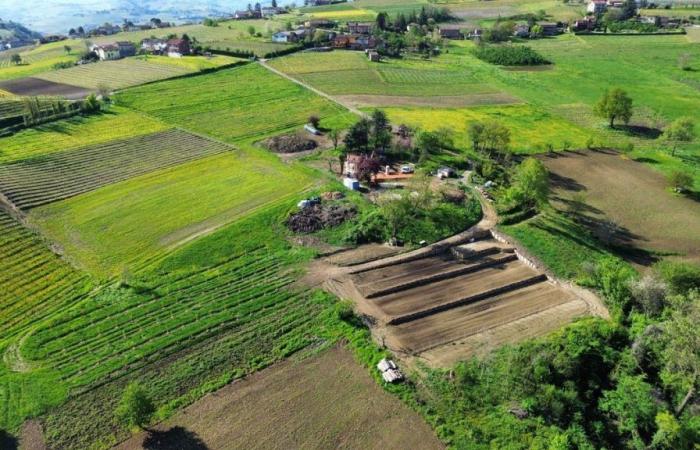 In Costigliole d’Asti entsteht ein agrarökologischer und regenerativer Garten, der der Gemeinschaft offen steht – Lavocedialba.it
