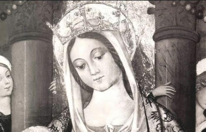 Madonna delle Grazie, Symbole und Kulte rund um die IkonographieMadonna delle Grazie, Symbole und Kulte rund um die Ikonographie