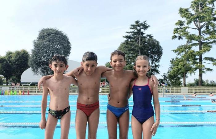 Schwimmen, gute Leistungen beim regionalen Debütanten B (H2Sport Vigevano) und beim Ennemme-Treffen – Vigevano24.it