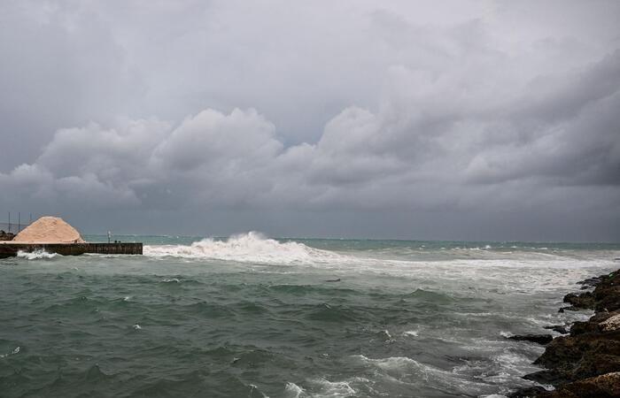 Beryl erreicht Hurrikan der Kategorie 5, „potenziell katastrophal“ – Lateinamerika
