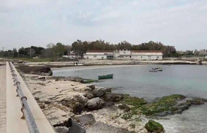 Giftige Algen in Apulien. Roter Aufkleber in Bari