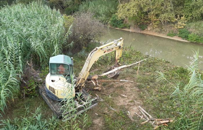 Pesaro, Wasserrisiko: 100.000 Euro Reinigungsarbeiten für sieben Gräben – Nachrichten Pesaro – CentroPagina