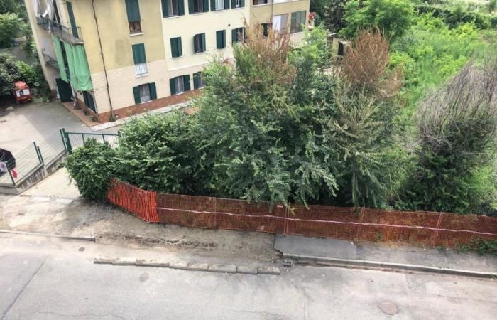 „Der Straßenbelag bleibt also in einem unzureichenden Zustand“ – Torino Oggi