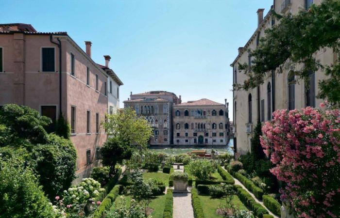 Die verborgensten und faszinierendsten Gärten Venedigs werden in einem neuen Buch enthüllt