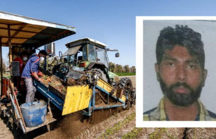 Singhs Tod, Inhaber einer Latina-Firma verhaftet. Staatsanwaltschaft: „Er hätte gerettet werden können“