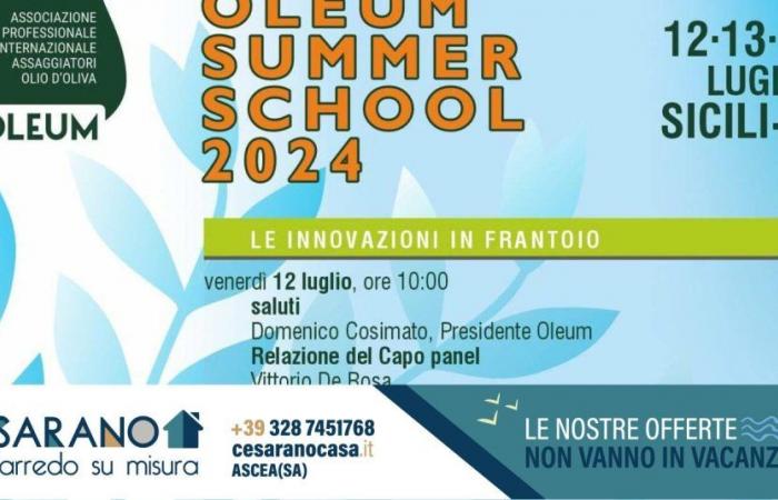 Oleum Summer School 2024: Innovation und Tradition im Olivenöl in Sizilien