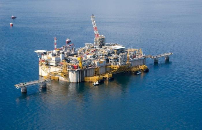 „Der LNG-Boom bedroht die Meeresökosysteme“