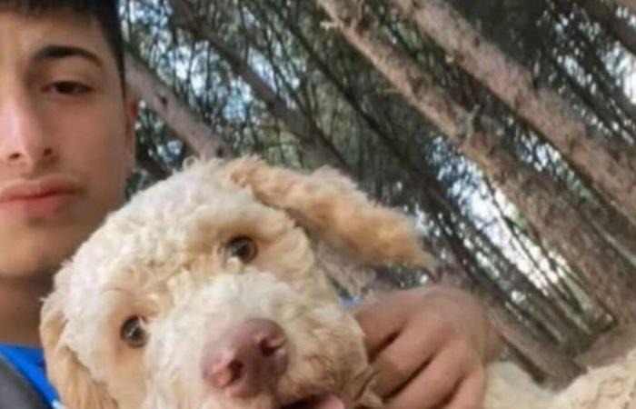 In Buccino verletzt auf der Straße aufgefunden, gibt es ein Rätsel um den Tod eines 16-Jährigen: Ermittlungen laufen