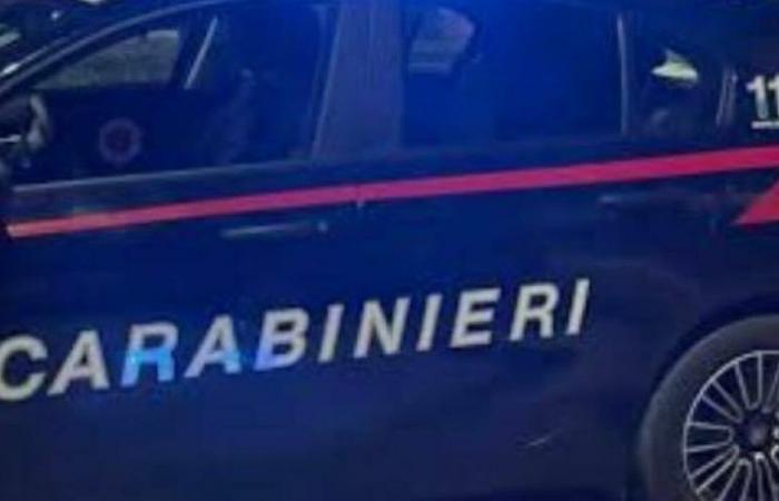 Die Beute erscheint im Internet. Die Carabinieri treffen beim Ködertreffen in Pesaro ein. Hier ist, was passiert ist