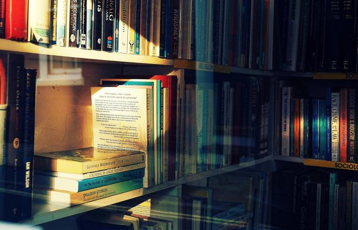 „Kulturbibliotheken. Wir hoffen, außerordentliche Mittel für den Kauf von Büchern bereitzustellen“ – www.anci.it