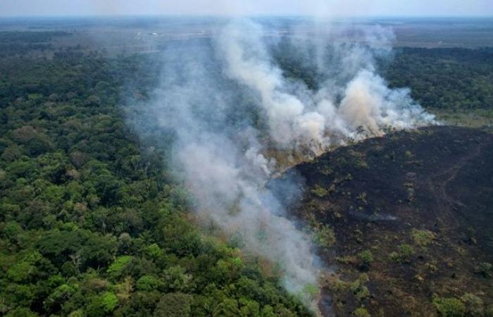 Brasilien, Rekordanstieg der Brände im Amazonasgebiet im ersten Halbjahr 2024