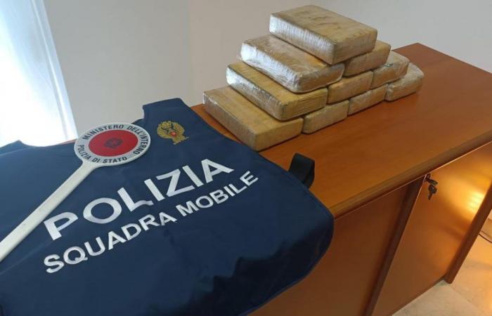 Unterwegs mit über 10 kg Kokain, im Auto vom Hund Barak gerochen: 58-Jähriger in Bologna festgenommen