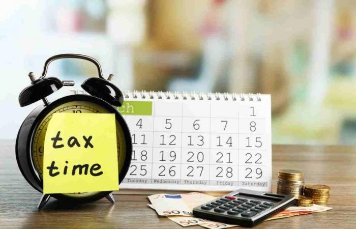Alle Steuerfristen für Juli 2024: der Kalender der Finanzagentur
