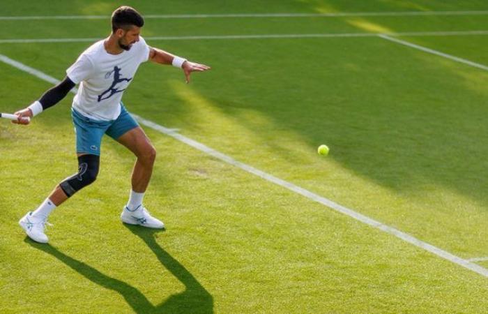 Wimbledon: Die vollständigen Ergebnisse mit den Details von Tag 2. Novak Djokovic und vielleicht Andy Murray sind heute auch auf dem Platz (LIVE)