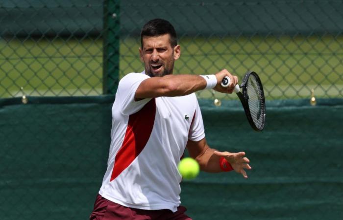 „Es wird zu viel über die Verletzung von Novak Djokovic geredet“