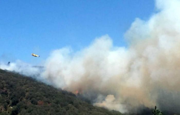 Gerechtigkeit für die Umwelt: Neapel gegen Brände im WWF Cratere degli Astroni