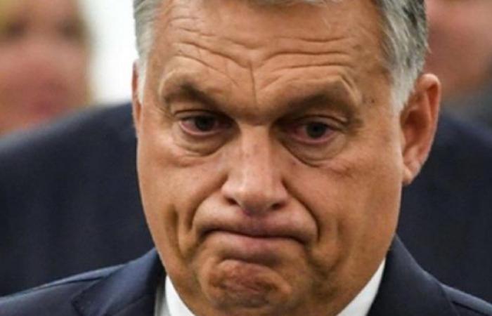 Orban in Kiew: Aufruf zum Waffenstillstand, Selenskyj antwortet entschieden