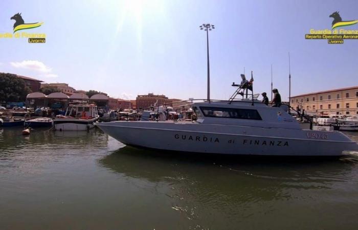 Livorno, ein Kapitän entdeckt, der kein Einkommen für fast 600.000 Euro Il Tirreno angegeben hat