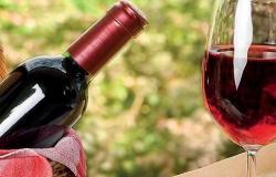 Der Export apulischer Weine wird im Jahr 2023 erneut wachsen: +5 Prozent trotz Logistiklücke und Kosten