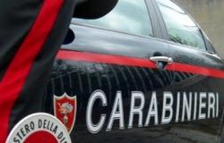 Trient, eine Beschwerde der Carabinieri pro Tag | Gazzetta delle Valli