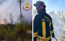 Phönixböen mit einer Geschwindigkeit von 125 pro Stunde schlossen den Mandria-Park. Brände in der Gegend von Canavese, gefällte Bäume in Novara