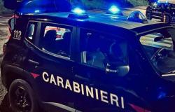 Egna, auf einem Roller angehalten, beleidigt die Polizei | Gazzetta delle Valli