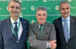 Confagricoltura Forlì-Cesena und Rimini eröffnet eine Plattform zur Diskussion mit der Politik: Treffen am 22. April mit den Kandidaten