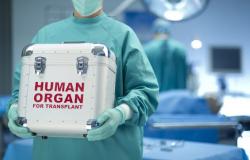 Aversa, 47 Jahre alt, stirbt, rettet aber zwei Leben: Organtransplantation in Kampanien